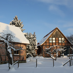 home_cafe_gallery8